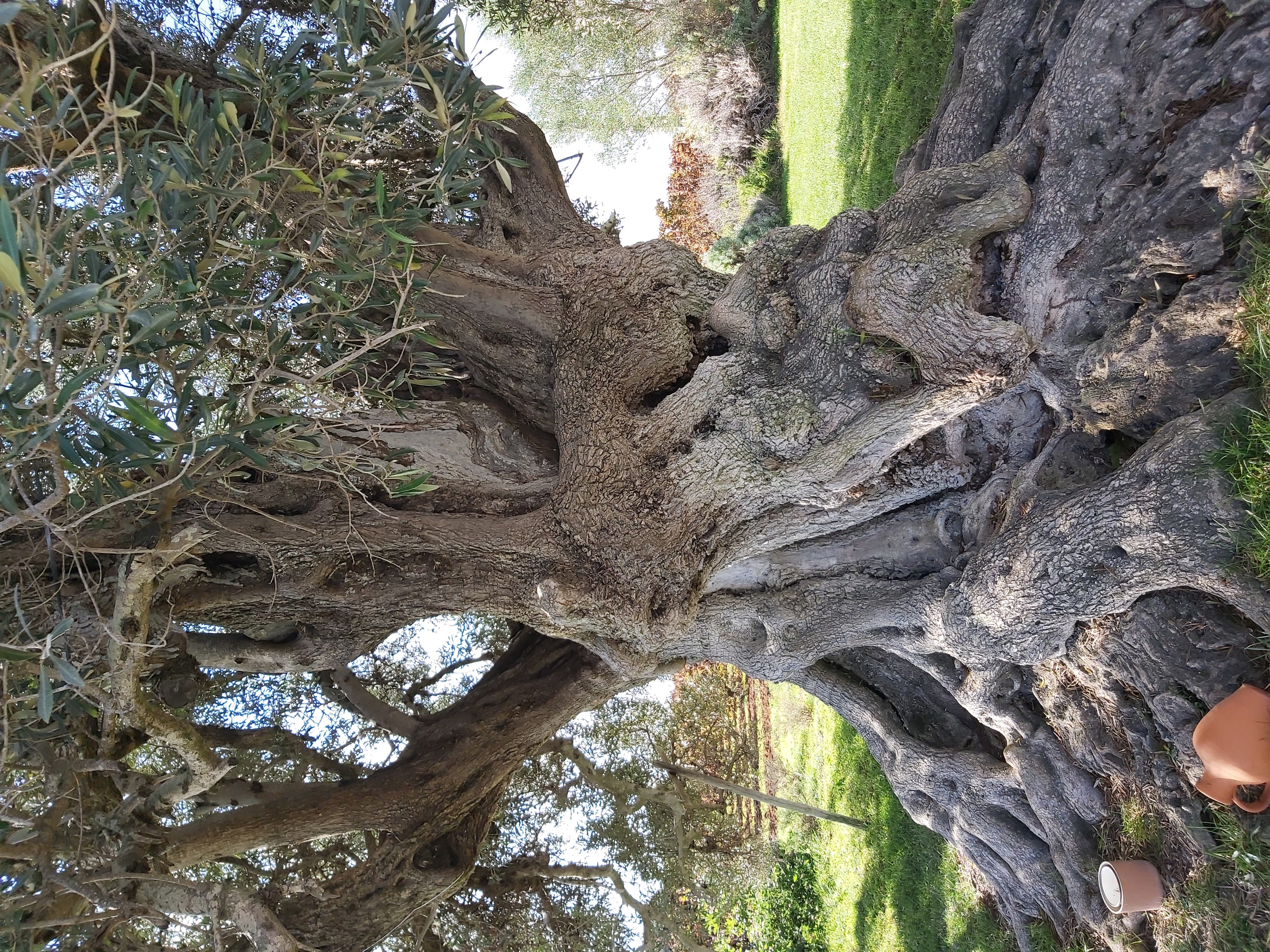 Tour image 15
