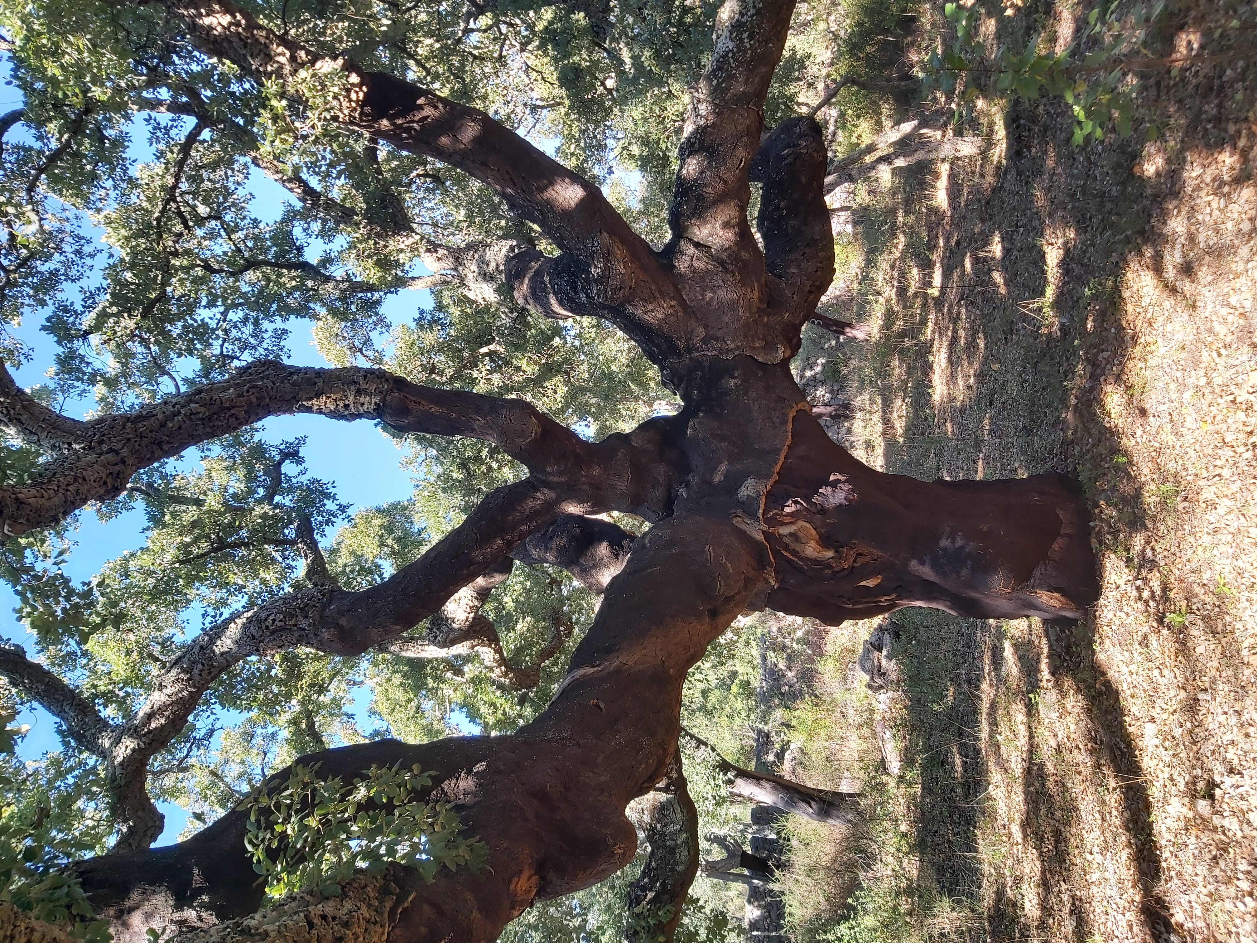 Tour image 2