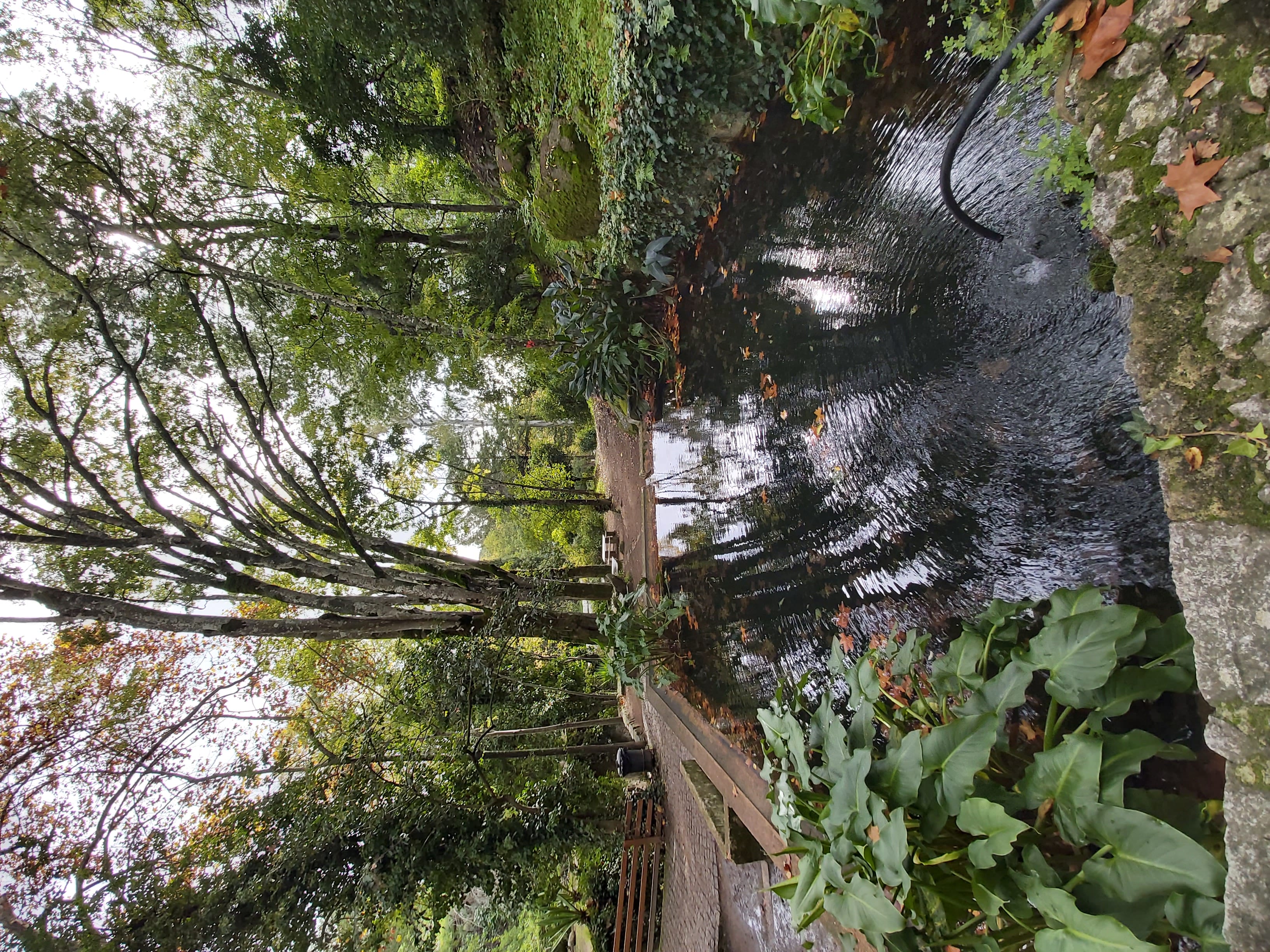 Tour image 11