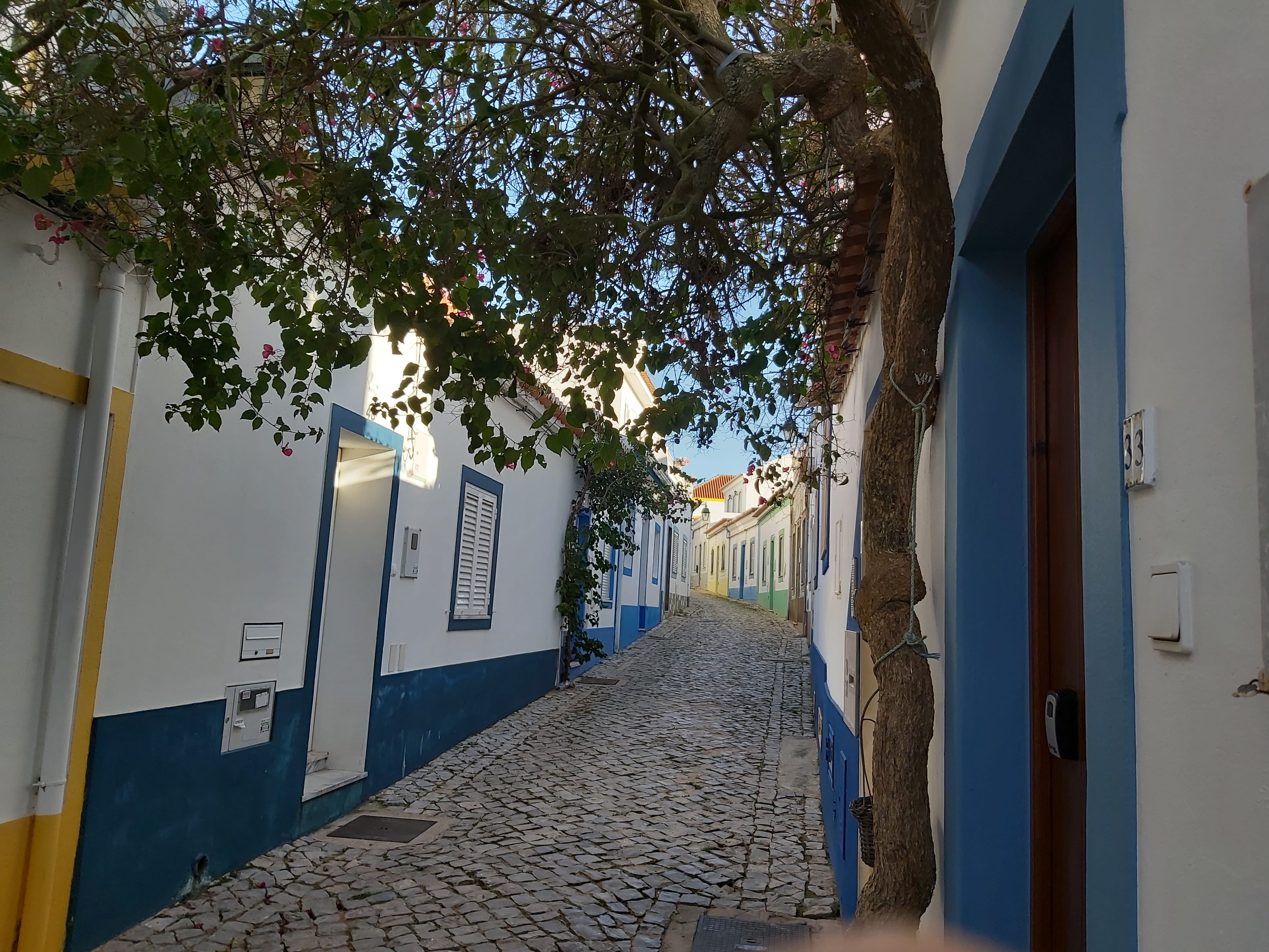 Tour image 20