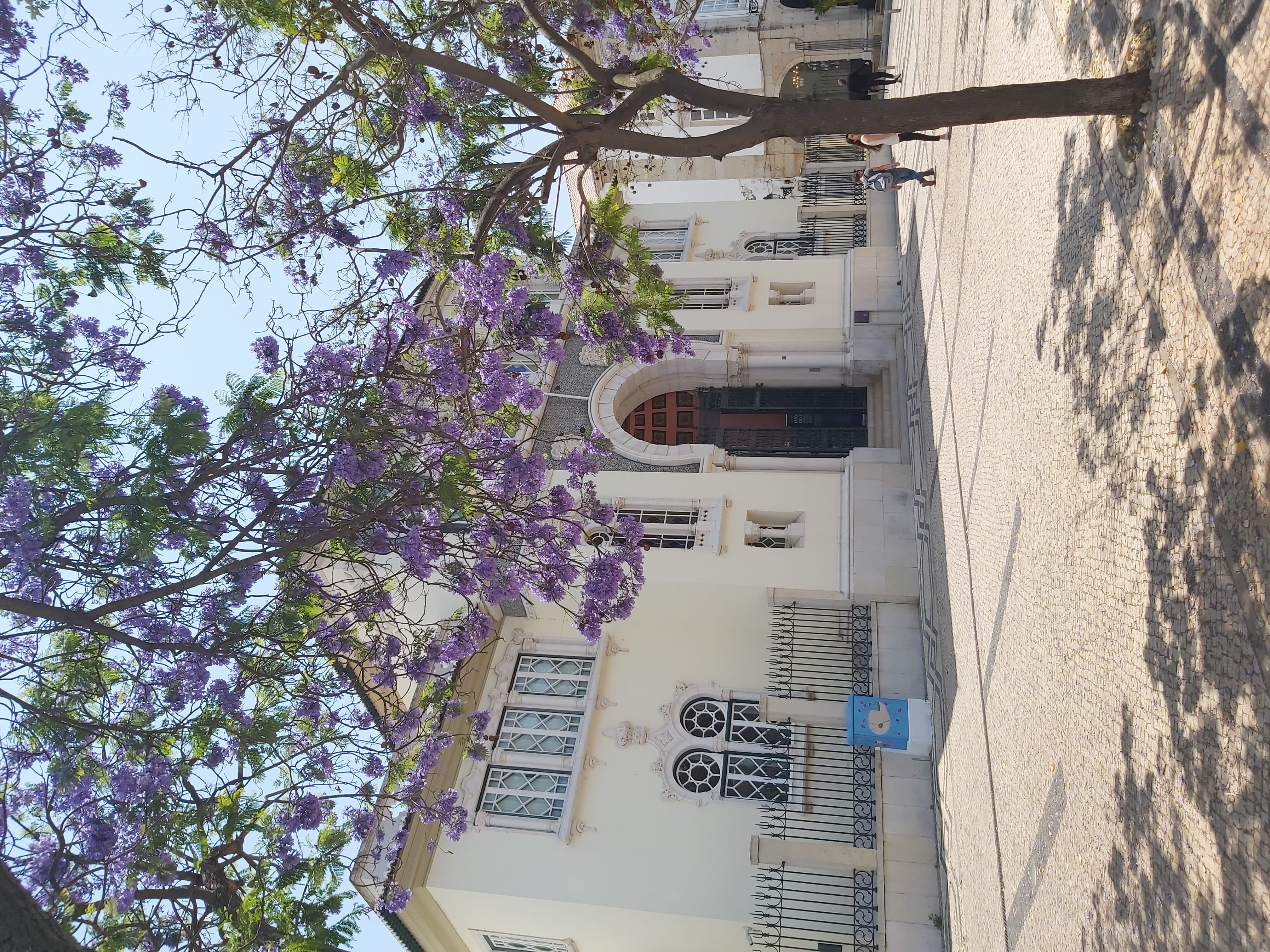 Tour image 7