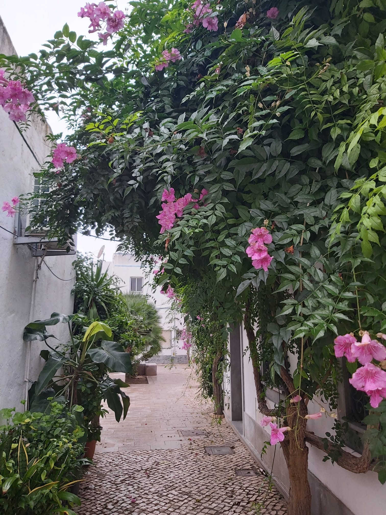 Tour image 17