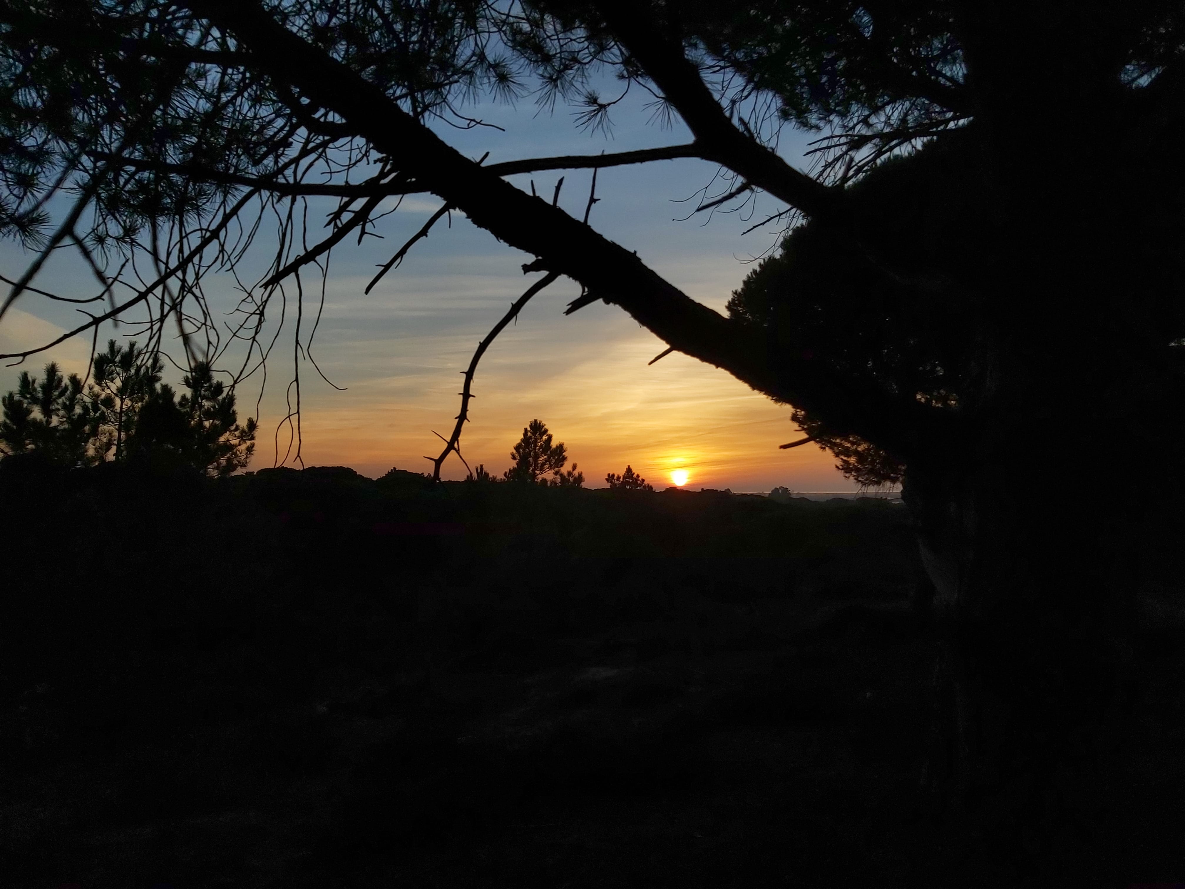 Gallery 20